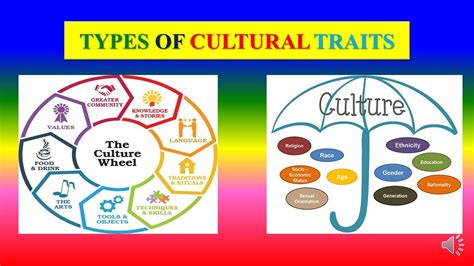 what category of cultural trait would music fall into? Music is an integral part of human culture, reflecting and shaping societal values, traditions, and identities.